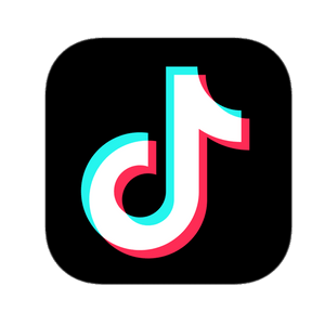 TikTok INBA